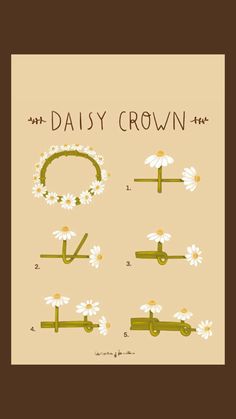 the daisy crown is shown with numbers and symbols