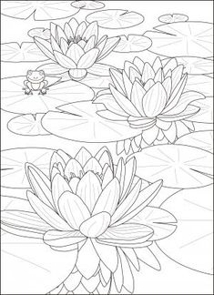 a coloring page with water lilies in the pond