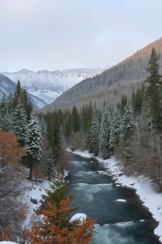 a river surrounded by snow covered mountains and evergreen trees in the foreground with orange leaves on the ground