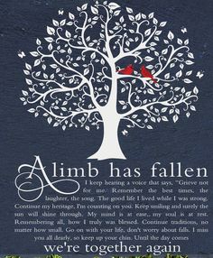 a red bird sitting on top of a tree with the words,'a limb has fallen