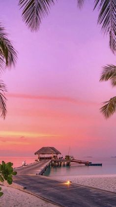 a pier on the beach at sunset with palm trees in the foreground and pink sky