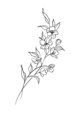 Floral Tattoo Design Drawings Simple, Simple Flowers Tattoo Design, Lined Flower Tattoos, Vines With Flowers Tattoo, Lakespur Flower Tattoo, Line Of Flowers Tattoo, Flower Tattoo Designs Sketches, Line Art Tattoos Flower, Graphic Design Tattoo Ideas