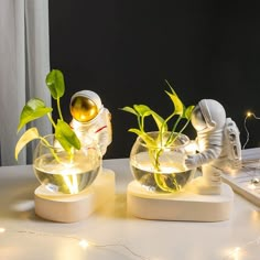 two planters with plants in them sitting on a table next to a laptop computer