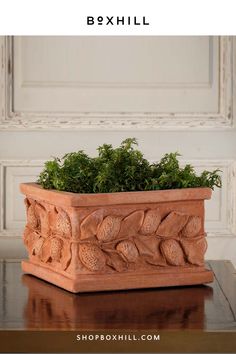 a close up of a planter on a table with the words bexhill above it