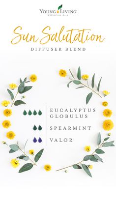 Valor Essential Oil, Diffuser Blends Young Living, Summer Diffuser Blends, Summer Essential Oils, Spearmint Essential Oil