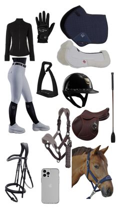 horse riding gear and accessories are arranged in a gridlocked pattern on a white background