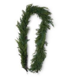 a long green garland is hanging from the ceiling on a white background with clippings