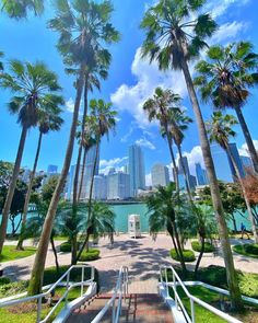 palm trees and stairs leading to the water in a city park, with skyscrapers in the background