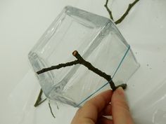 a hand holding a piece of glass with a twig sticking out of it