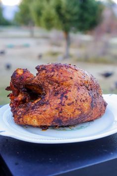 a chicken is sitting on a plate outside