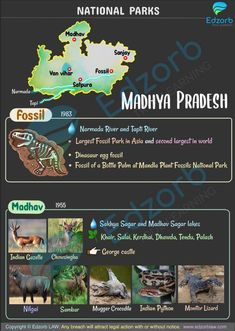 the national park map with pictures of animals and their names in english, spanish, and french