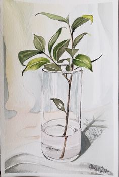 Glass Pen Watercolor, Camellia Watercolor, Watercolor Glass Vase, Transparent Glass Paint, Vase Watercolor, Watercolor Candles, Glass Watercolor, Glass Illustration