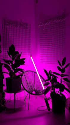 a purple light in a room with some plants