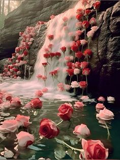 red and white roses are floating in the water near a waterfall that is surrounded by rocks