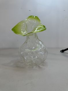 a clear glass vase with a green flower in it