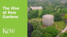 the hive at kew gardens is surrounded by lush green trees and bushes, with a white building in the background