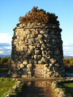 an old stone tower with trees growing out of it's sides in the middle of a grassy field