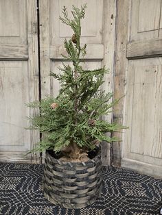 a potted plant sitting on top of a rug in front of wooden door panels