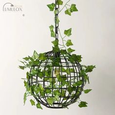 a plant is growing out of a wire ball hanging from a light fixture with ivy on it