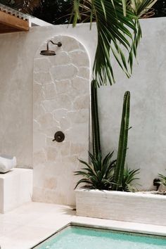 an outdoor shower with a plant next to it