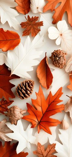 100+ Fall Leaves Wallpaper for iPhone for Subtle Seasonal Charm Hello Fall Wallpapers, Fall Leaves Wallpaper, Phone Asthetic, Autumn Wallpapers, Digital Clutter, Autumn Leaves Wallpaper, Fall Wallpapers, Summer Wallpapers, Autumn Tones