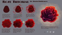 how to draw a red rose in adobe and photoshopped it into an image