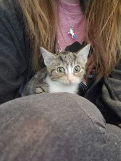 a woman holding a cat in her lap