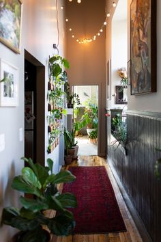 a hallway with plants and lights hanging from the ceiling