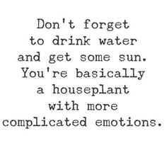 the words don't forget to drink water and get some sun you're basically a houseplant with more complicated emotions