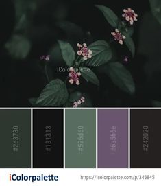 the color palette is dark green, purple and black with white flowers on it's leaves