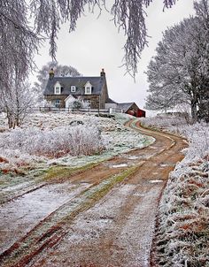 a snow covered field with a house in the background and trees on either side of it