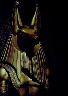 an egyptian statue in the dark with its head turned to look like it's sitting down