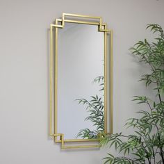 a mirror hanging on the wall next to a potted plant