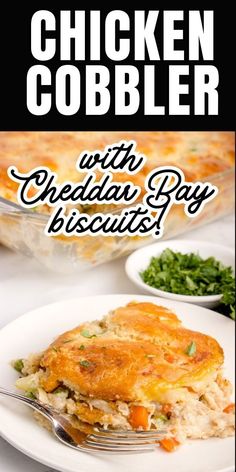 chicken cobbler with cheesy biscuits is shown on a white plate