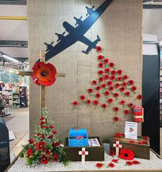 a display with red flowers and an airplane on it