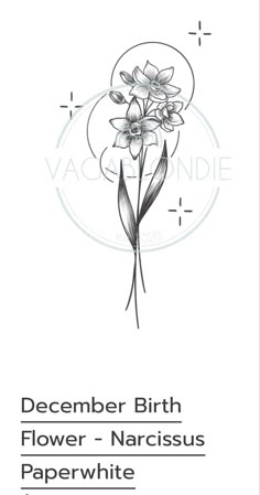 a black and white drawing of flowers with the words december birth flower - narcissus paperwhite