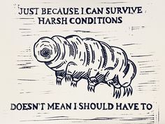 an image of a sign that says, just because i can survive harsh conditions doesn't mean i should have to