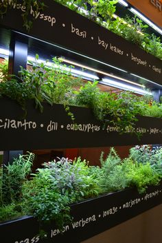 a wall mounted planter filled with lots of different types of plants and herbs on it