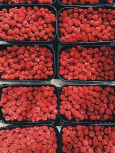 raspberries are in plastic containers and ready to be picked from the market for sale