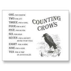 a black bird sitting on top of a field next to words that say counting crows