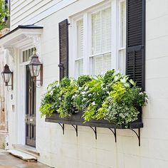 a white house with black shutters and window boxes filled with green plants on the windowsill