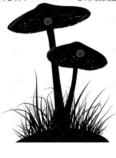 three mushrooms in the grass silhouetted against a white background with black and green accents