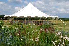 a large white tent sitting in the middle of a field filled with lots of flowers