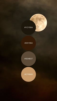 Maroon Colour Pallet, Red Color Palette Bedroom, Moody Color Palette Hex Codes, Moody Brown Aesthetic, Moody Brown Living Room, Brown Complimentary Colors, Moody Wall Color, Cozy Room Drawing, Mahogany Aesthetic