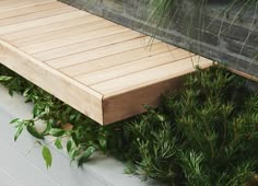 a wooden bench sitting on top of a lush green plant covered hillside next to a fence