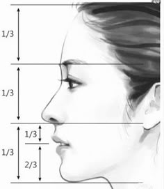 a drawing of a woman's profile with measurements for her nose and neck length