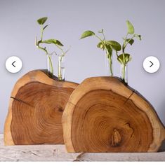 two vases with plants in them sitting on top of a wooden stand that has been cut into smaller pieces