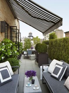 an outdoor living area with couches, tables and potted plants on the roof