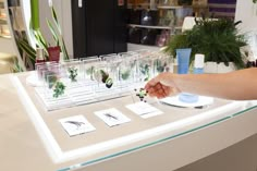 a person is holding something in their hand near some plants and cards on a table