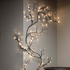 there is a branch with lights on it